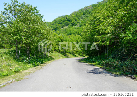 The road to Yubari Shuparo Dam 136165231