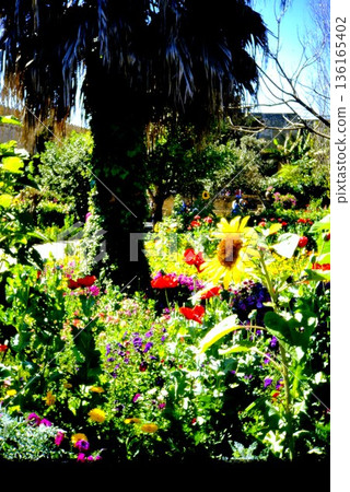 Flower Garden in Rabat, Morocco Flower Garden in Rabat, Morocco 136165402