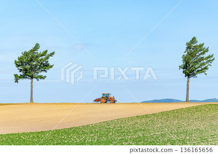 Memanbetsu, Hokkaido - Popular tourist spot - Summer fairy tale hill and tractors at work Memanbetsu, Hokkaido - Popular tourist spot - Summer fairy tale hill and tractors at work 136165656