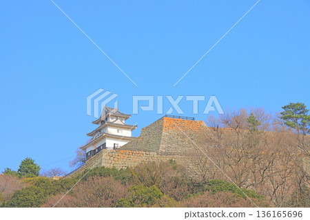 Scenery of Marugame Castle, Marugame City, Kagawa Prefecture 136165696