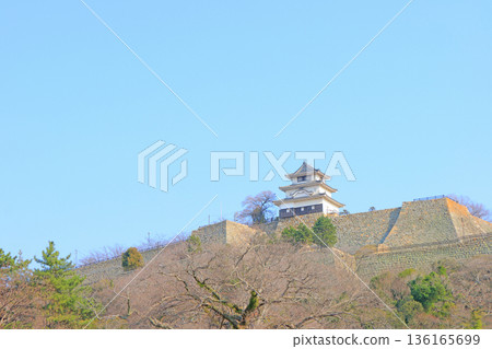 香川縣丸龜市丸龜城風景 136165699