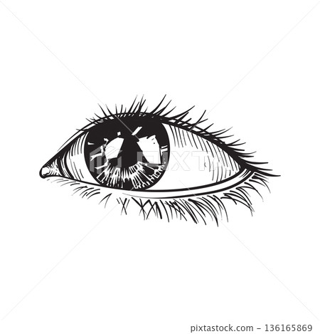 eyes sketch, eyes sketch, 136165869