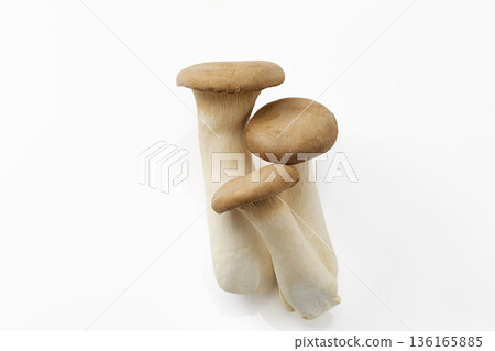 白背eryngii 白背eryngii 136165885