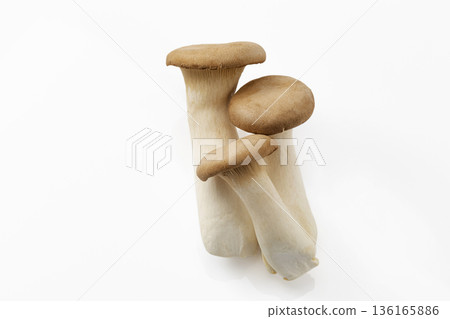 白背eryngii 白背eryngii 136165886