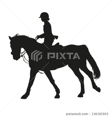 Equestrian silhouette, Horsewoman on horse. 136165935