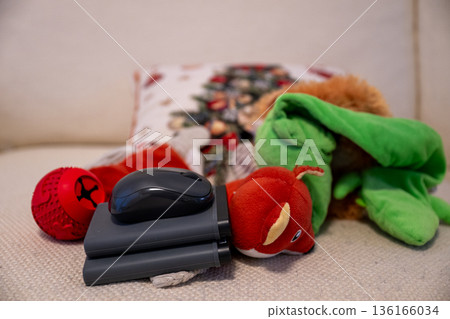 External hard drives with dog toys and christmas stocking on cozy background External hard drives with dog toys and christmas stocking on cozy background 136166034