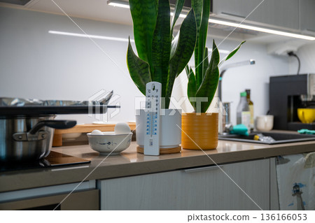 Indoor plants and kitchen thermometer on modern home countertop Indoor plants and kitchen thermometer on modern home countertop 136166053