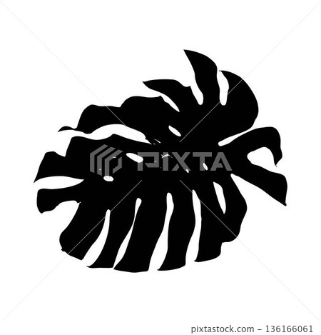 Tropical jungle Monstera leaf silhouette Tropical jungle Monstera leaf silhouette 136166061