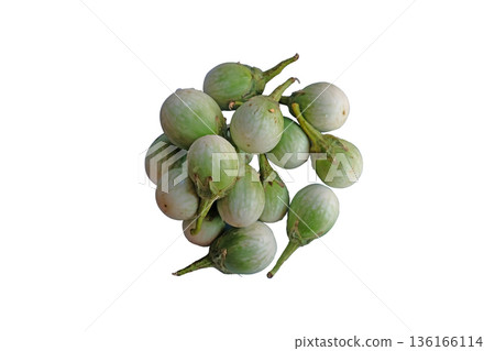Thai Eggplant Green Brinjal 136166114