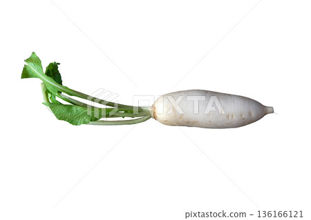 Daikon radishes Daikon radishes 136166121