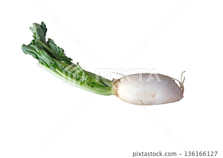 Daikon radishes Daikon radishes 136166127