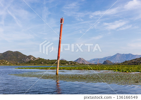 Rijeka Crnojevica, Montenegro. Tranquil river scene Rijeka Crnojevica, Montenegro. Tranquil river scene 136166549