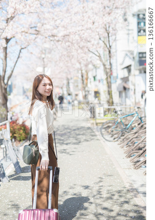 A woman traveling alone during cherry blossom season A woman traveling alone during cherry blossom season 136166667