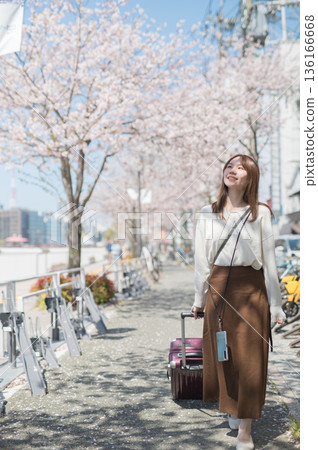 櫻花季期間，一位獨自旅行的女子 136166668