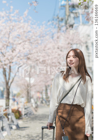 櫻花季期間，一位獨自旅行的女子 136166669