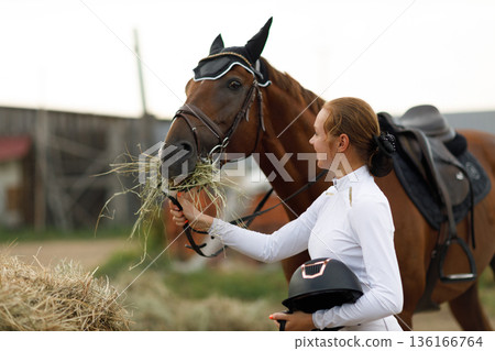 Woman rider jockey feeds horse at stable 136166764