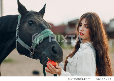 Woman feeds her horse apple at outdoors ranch 136166773