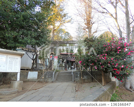 Kitano Shrine 136166847