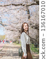 A woman enjoying sightseeing under the cherry blossom trees in spring 136167010