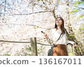 A woman enjoying sightseeing under the cherry blossom trees in spring 136167011