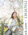 A woman enjoying sightseeing under the cherry blossom trees in spring 136167012