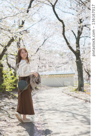 A woman enjoying sightseeing under the cherry blossom trees in spring A woman enjoying sightseeing under the cherry blossom trees in spring 136167017