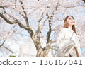 一個女人走在櫻花盛開 136167041
