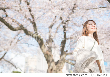 一個女人走在櫻花盛開 136167041