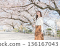 一個女人走在櫻花盛開 136167043