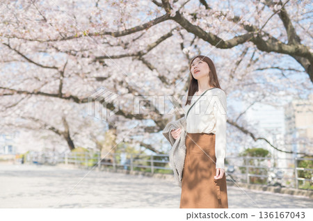 一個女人走在櫻花盛開 136167043