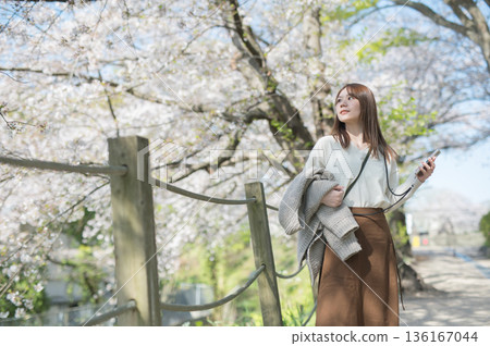 一個女人走在櫻花盛開 136167044