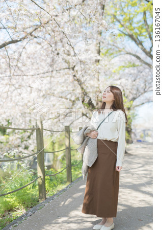 A woman walking along cherry blossoms A woman walking along cherry blossoms 136167045