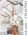 Young woman walking along cherry blossom trees 136167091
