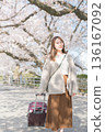 Young woman walking along cherry blossom trees 136167092