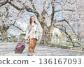 Young woman walking along cherry blossom trees 136167093