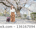 沿著櫻花樹散步的年輕女子 136167094