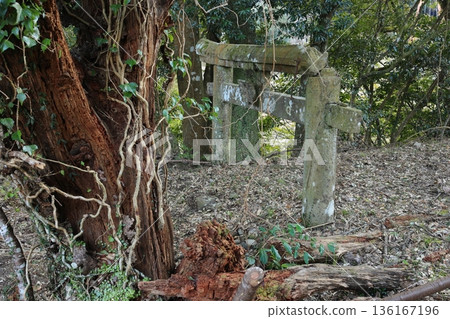 The buried torii gate of Takako Shrine 136167196