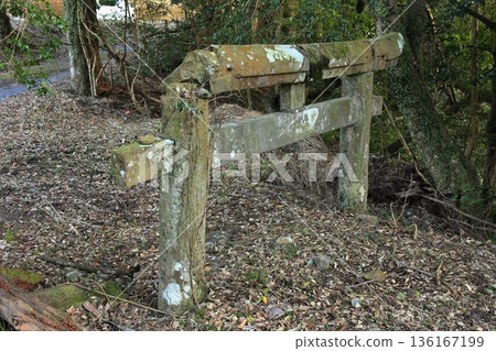 The buried torii gate of Takako Shrine The buried torii gate of Takako Shrine 136167199