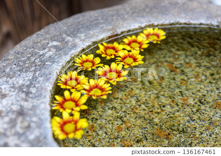 水池中漂浮著鮮花,構成一幅寧靜的畫面。 水池中漂浮著鮮花,構成一幅寧靜的畫面。 136167461
