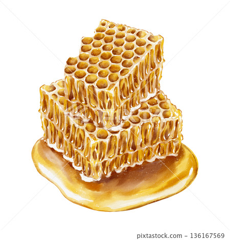 Watercolor illustration two stacked golden honeycombs with thick dripping honey in realistic style with rich texture. for food packaging tea labels cosmetics wellness products and Jewish holidays. 136167569