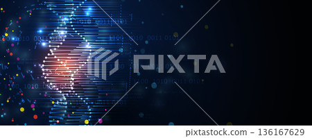 Scientific or medica background, DNA strands, connected neural web Scientific or medica background, DNA strands, connected neural web 136167629