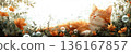 Serene Orange Cat Relaxing Amidst Vibrant Orange Flowers in a Tranquil Nature Setting 136167857