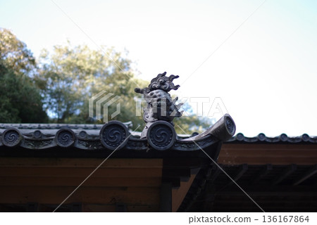 站立的護衛犬(側面視圖) 站立的護衛犬(側面視圖) 136167864