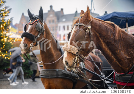 Horse-Drawn Carriage in Bruges 136168178