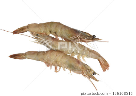 Caridea shrimps in shell, unpeeled. 136168515