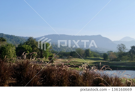 Lush green golf course fairways and a calm water hazard are framed by vibrant ornamental grasses, leading to a backdrop of misty mountains, conveying serene natural beauty and an exclusive leisure Lush green golf course fairways and a calm water hazard are framed by vibrant ornamental grasses, leading to a backdrop of misty mountains, conveying serene natural beauty and an exclusive leisure 136168669