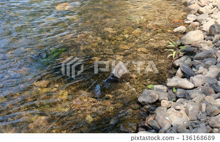 Clear transparent river water flows gently over a bed of natural smooth stones and pebbles under bright sunlight, showcasing a peaceful and serene nature scene. Clear transparent river water flows gently over a bed of natural smooth stones and pebbles under bright sunlight, showcasing a peaceful and serene nature scene. 136168689