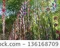 Vibrant handmade silk spiderweb flags, used in a Northeastern Thai Buddhist ritual to capture evil spirits, adorn a lush bamboo grove, symbolizing spiritual protection and rich cultural traditions. 136168709