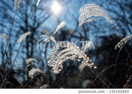 Takao area traverse, Tokyo 136168868