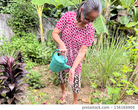 An elderly active woman waters plants and flowers in the garden from a watering can 136168908